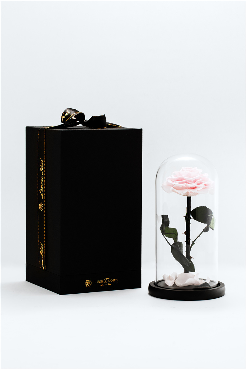 single preserved rose