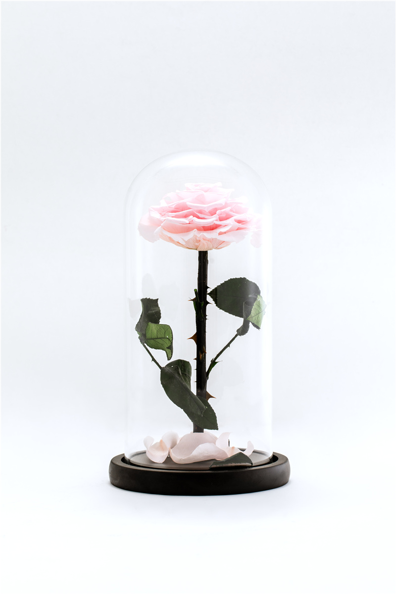 glass single black rose