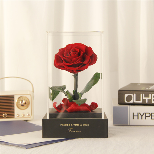 Eternal Rose In Gift Box