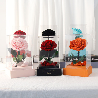 Rose éternelle dans une boîte cadeau