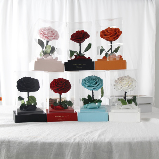 Rose éternelle dans une boîte cadeau