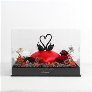 I Cigni Formano Il Cuore Dell'amore Con Il Fiore Conservato