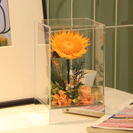 PLUS Bunga Matahari Terpelihara Dalam Kotak Akrilik