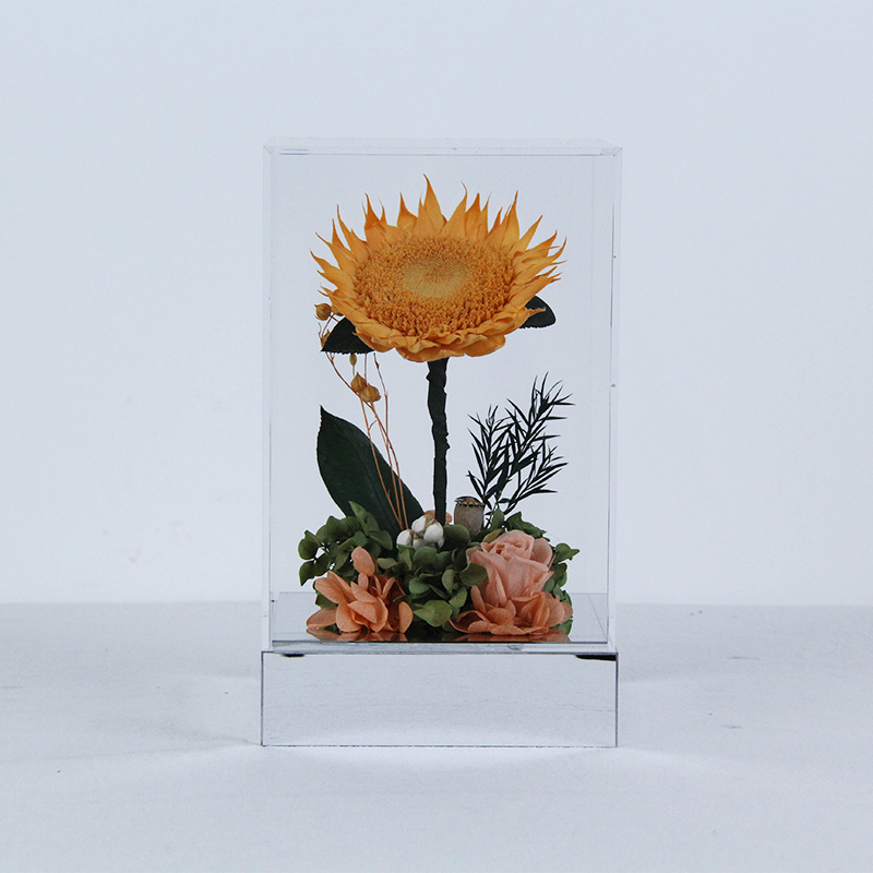 preserved sunflower