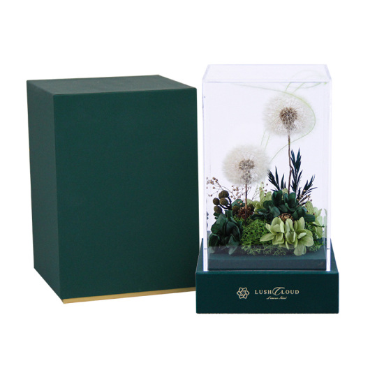 Kotak Hadiah Akrilik Dandelion Terpelihara