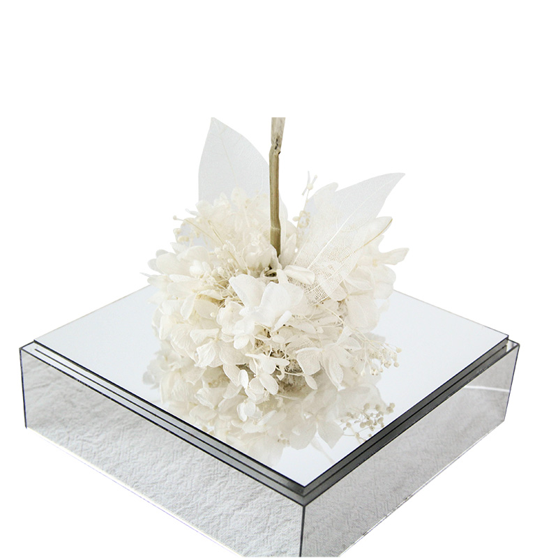 dandelion in box gift