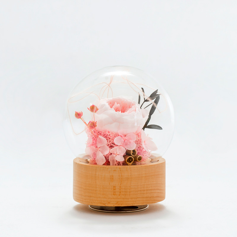 dandelion crystal ball