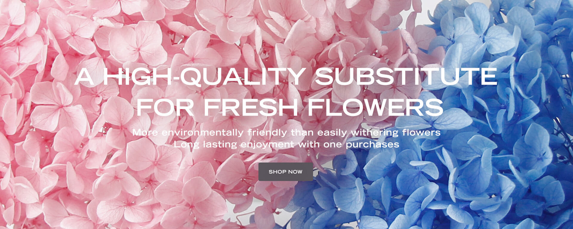 Збережена голова квітки