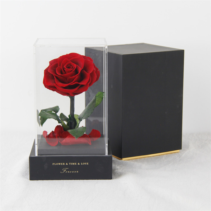 preserved rose