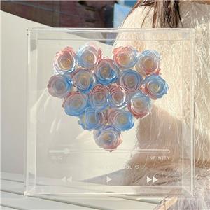 Cuore di rose stabilizzate in scatola acrilica arcobaleno