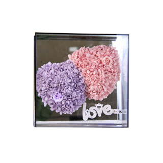 Hati Malaikat Hydrangea yang Terpelihara