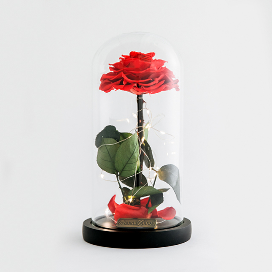 Rosa rossa singola stabilizzata a LED