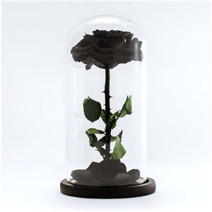 Rosa nera singola stabilizzata speciale in vetro