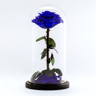 Rosa blu singola stabilizzata speciale in vetro