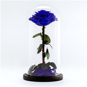 Rosa blu singola stabilizzata speciale in vetro