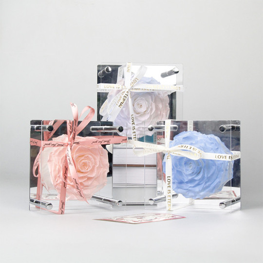 Virágzó örök rózsa akril dobozban