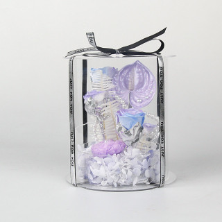 Coffret cadeau Anthurium rose préservé avec perles