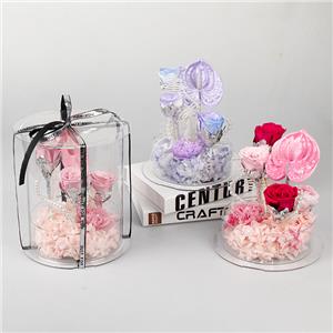 Coffret cadeau Anthurium rose préservé avec perles