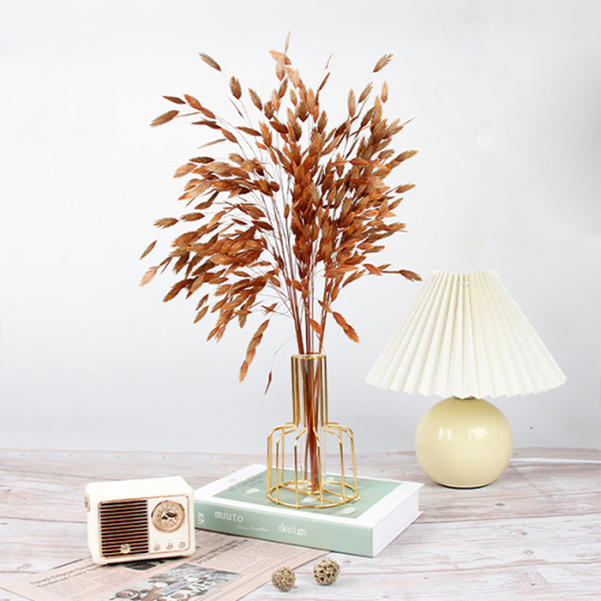 Decorazione conservata di Chasmanthium latifolium