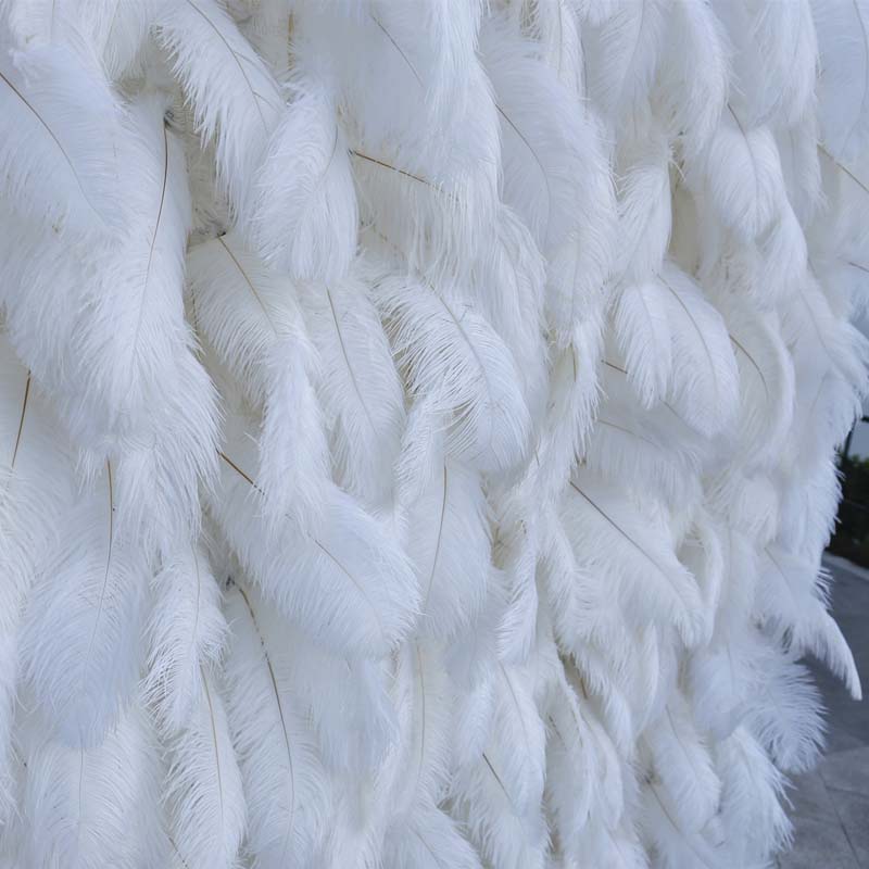 feather wall backdrop