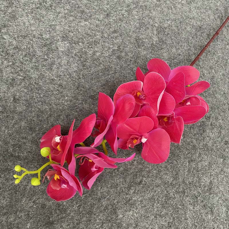 butterfly orchid decoration