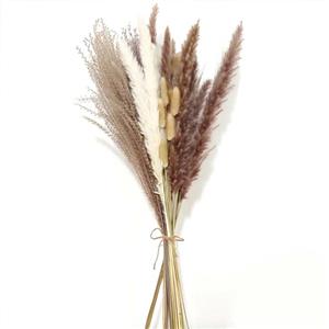 Decorazione artificiale dell'erba di pampa
