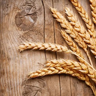 Decorazione degli steli di grano essiccati