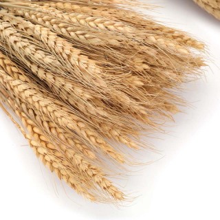 Decorazione degli steli di grano essiccati