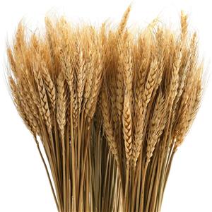 Decorazione degli steli di grano essiccati