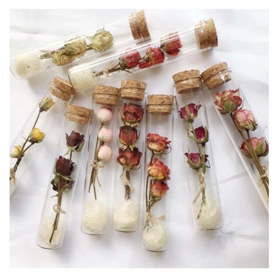 Mawar Kering dalam Botol Kaca