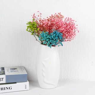 Materiale Babysbreath conservato
