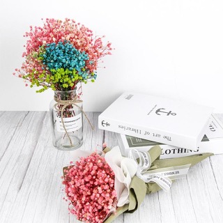 Materiale Babysbreath conservato