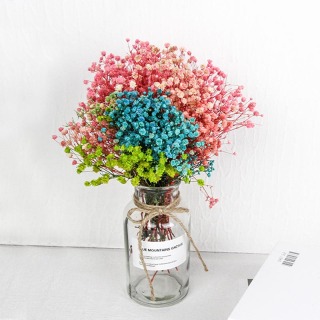 Materiale Babysbreath conservato