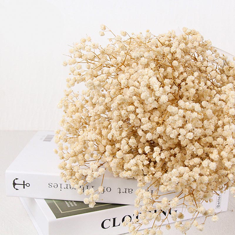 preserved babysbreath flower bouquet