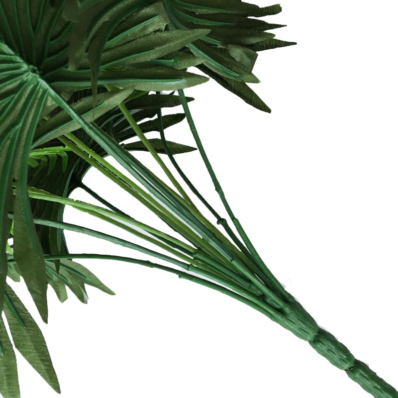 palm tree leaf