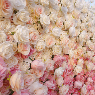 Muro di fiori di colore sfumato