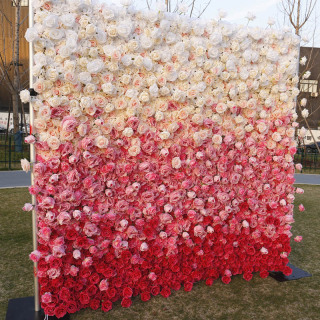 Muro di fiori di colore sfumato