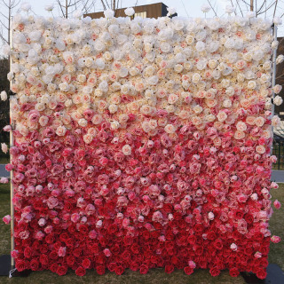 Muro di fiori di colore sfumato