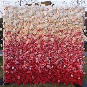 Muro di fiori di colore sfumato