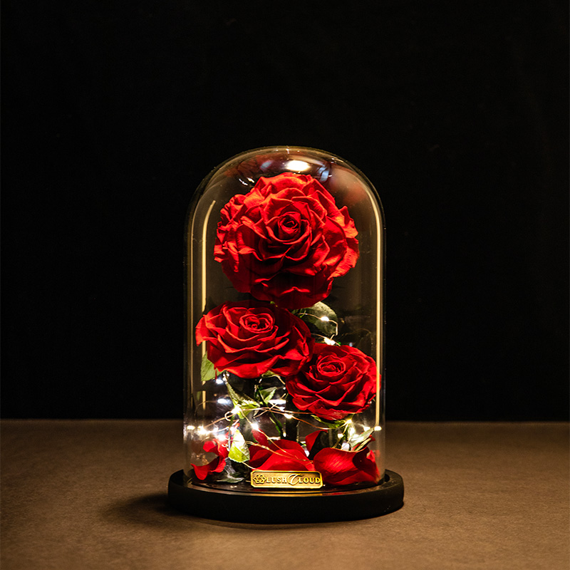 preserved rose