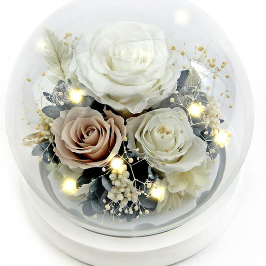 3 Kepala Diawet Mawar Dalam Kubah Kaca Mini