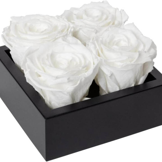 4 Kepala Diawet Mawar Dalam Kotak