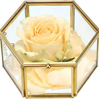 Rosa stabilizzata in scatola di vetro geometrica