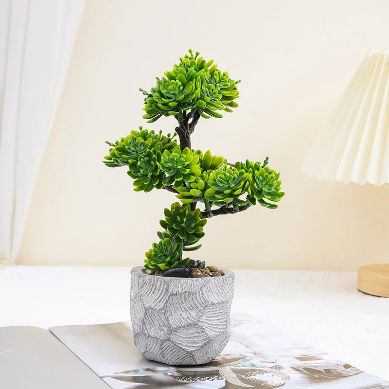 Decorative Plant Bonsai