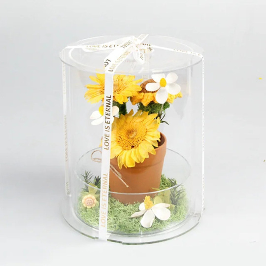 Консервированный подсолнух в акриловой коробке