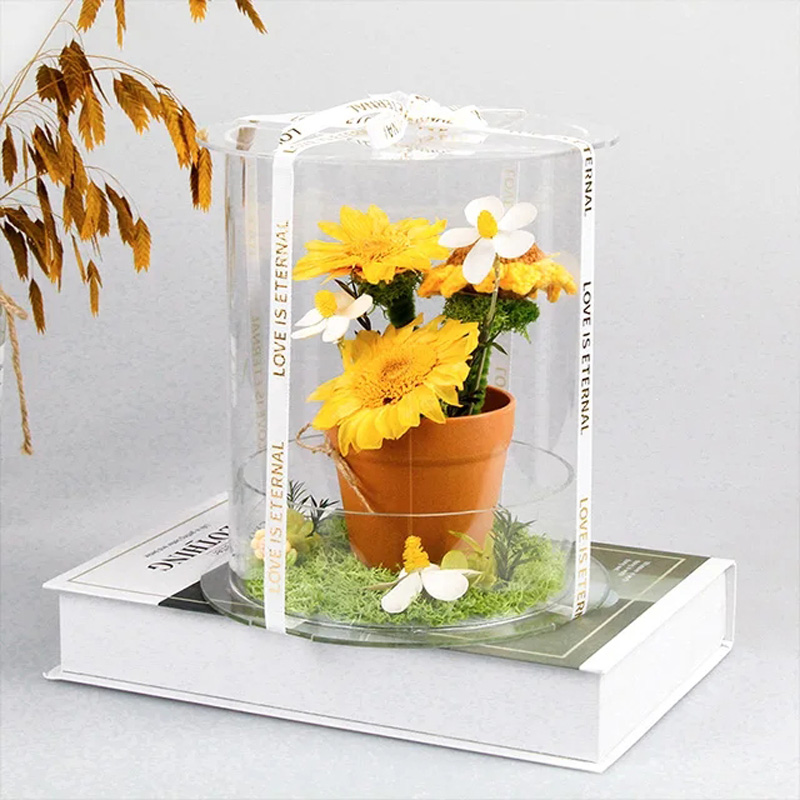 sunflower in acrylic box