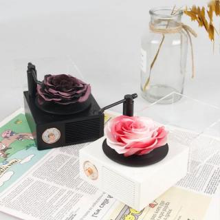 Registratori a cassetta con rose stabilizzate
