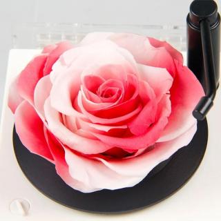 Registratori a cassetta con rose stabilizzate