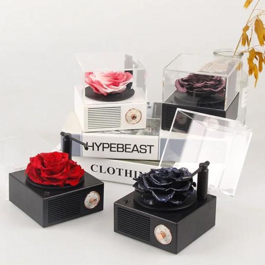 संरक्षित गुलाब कैसेट रिकॉर्डर