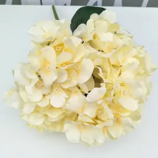 Decorazione della casa con bouquet di fiori di ortensia